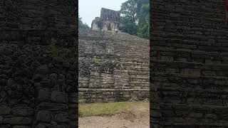 Temple Stairs to Heaven  Palenque Ruins México mayanruins travel [upl. by Klarika]