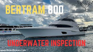 2011 Bertram 800  Underwater Inspection [upl. by Padraig421]