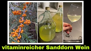 Sanddornwein selber machen  Wein aus Sanddorn Beeren  Selbstversorgung Hobbykeltern [upl. by Nereus756]