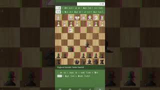 chess soller Gambit trap [upl. by Farlie]