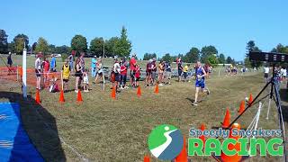 Boys Division 1 and 2 Middle School Racing at Galion Cross Country Festival [upl. by Cofsky]