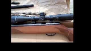 Gamo Hunter Extreme Tuned 177 [upl. by Crisey625]