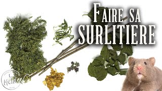 Faire sa SURLITIERE Branches feuilles fleurs [upl. by Sachsse545]