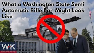 What a Washington State SemiAutomatic Rifle Ban Might Look Like [upl. by Terrena]