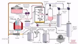 Chemical CPT vegetable oil extraction method [upl. by Victoir999]