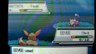 My Lv1 EEVEE evolves into UMBREONESPEON [upl. by Schmitz]