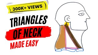 Triangles of neck made easy [upl. by Tekcirk260]