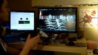 SynthNet  Growing a Virtual Brain from DNA  Part 1 [upl. by Fortna]