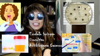 Exudado faringeo Urocultivo y Antibiograma Casero [upl. by Symon]