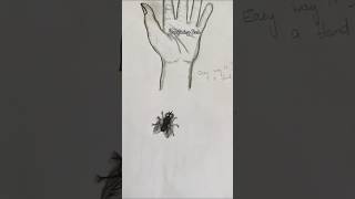 Easy ah oru housefly draw pannalamashortsvideo shortsfeed art drawing houseflyrelaxingforyou [upl. by Nirag]