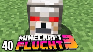 Dieser Hund war zwei Jahre lang verschwunden ☆ Minecraft FLUCHT 3 40 [upl. by Annua243]