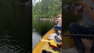 Giant Northern Pike on Crooked Lake in Quetico Provincial Park [upl. by Jenness722]