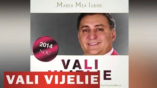 VALI VIJELIE  CAND IN DRAGOSTE NAI VINA HIT NOU 2014 [upl. by Anibur317]