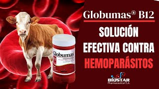 GLOBUMAS B12 SOLUCION EFECTIVA CONTRA HEMOPARÁSITOS [upl. by Chaddie]