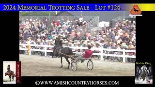 2024 Trotting Sale Part 13 [upl. by Komsa]