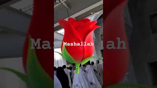 khana kaba and masjed nabbimashallahماشاءالله urdulanguage [upl. by Thill]