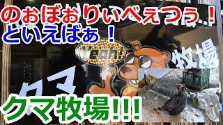 【話題のCM】あのCMでお馴染みの登別クマ牧場に行ってきた【ヒルゲイツ国内企画第二弾～北海道編～】 [upl. by Acnaib]