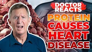 NEW STUDY Shows Protein Causes HEART DISEASE  Doctor Reacts [upl. by Palla]