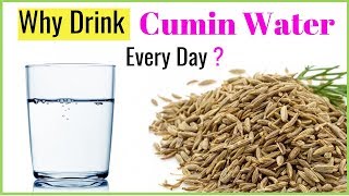 Cumin Water 7 Benefits to starting drink Every Day [upl. by Gerc691]