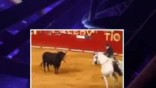 Bullfight on Horses [upl. by Novat]