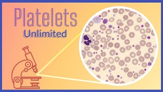 Identifying Essential Thrombocythemia  Heme Ed [upl. by Berriman]