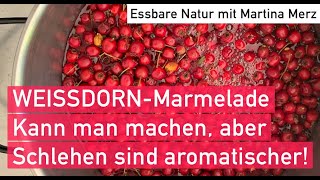 Weißdornmarmelade – Basisrezept mit Tipps zum Sammeln amp Verarbeiten [upl. by Gladi641]