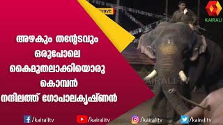 അകാലത്തിൽ പൊലിഞ്ഞു പോയ മാണിക്യം  Nandilath GopalaKrishanan  E for Elephant  Kairali TV [upl. by Ttehc485]