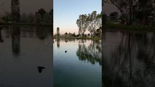 Shepparton park lake [upl. by Surazal]