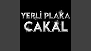 Yerli Plaka Cakal Live [upl. by Eilrak]