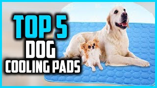 Top 5 Best Dog Cooling Pads In 2024 Reviews [upl. by Daphne]