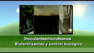 Inoculantes microbianos [upl. by Raskin332]