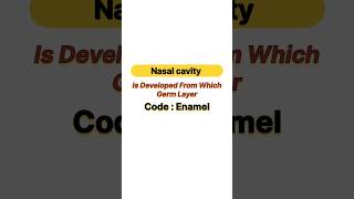 Nasal cavity is developed from which germ layer [upl. by Nerat]