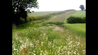 Mid Tier Countryside Stewardship Advice Webinar [upl. by Olleina451]