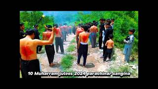 10 Muharram juloos Parachinar Sangina 2024District Kurram ParachinarKarbala views [upl. by Aidualk30]