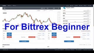 How to set Buy amp Sell orders on Bittrex [upl. by Nirret]