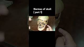 Normas of skull  part 1  mbbsstudent medicalcollegestudents anatomy skull [upl. by Eitsyrc]