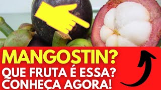 Mangostin ou Mangostão Que fruta é essa Veja agora o react da fruta mais gostosa do mundo [upl. by Agem]