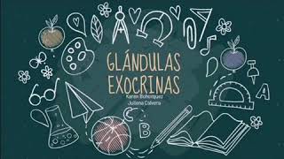 Glándulas exocrinas [upl. by Ehud]