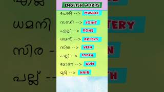 English words  body parts vocabulary gk [upl. by Rolo497]