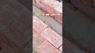 construction rajmistri house civilengineering brickwork viralvideos shorts youtubeshorts [upl. by Yaf750]