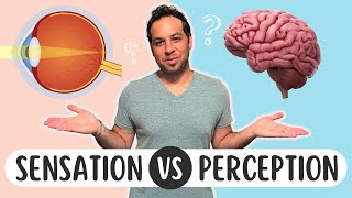 Sensation vs Perception Whats the Difference [upl. by Viviane]