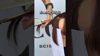 Concave Layers vs Graduation Layers✂️ haircuttutorial hairstylisteducation haircuttingeducation [upl. by Ingemar]