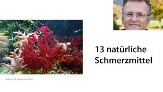 13 natürliche Schmerzmittel [upl. by Haily]