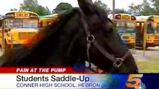 Students Riding Horses to School [upl. by Nayek175]