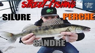 STREETFISHING 5 MutliSession  SANDRES  PERCHES SILURE Lot of fish [upl. by Adnawuj]