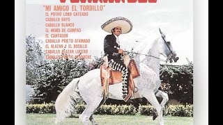 Vicente Fernández Mi Amigo el Tordillo [upl. by Aytak]