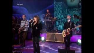 Ronettes Ronnie Spector  Dont Worry Baby Beach Boyslive 1998 HD 0815007 [upl. by Stanfill778]