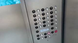 WestySchindler Traction Interior Elevators at Hyatt Regency Grand Cypress  Lake Buena Vista FL [upl. by Nalani]