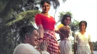 ചേട്ടനെ ഞാൻ രസിപ്പിക്കാം Prem Nazir Sarada  Triveni  Malayalam Comedy Scenes [upl. by Kemble83]