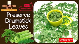 I Tested 5 DRUMSTICK LEAVES Preservation Methods and Found the BEST [upl. by Eyar]